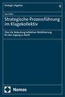 Buchcover Strategische Prozessführung im Klagekollektiv