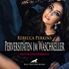 Buchcover Perversitäten im Waschkeller | Erotik Audio Story | Erotisches Hörbuch Audio CD
