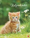 Buchcover Katzenkinder Posterkalender 2025