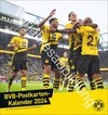 Buchcover BVB Postkartenkalender 2025