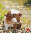 Buchcover Kuschelige Meerschweinchen Postkartenkalender 2026