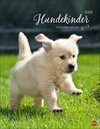 Buchcover Hundekinder Posterkalender 2026