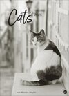 Buchcover Cats Edition Kalender 2026