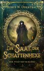 Buchcover Der Pfad des Magiers