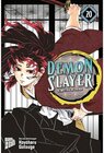 Buchcover Demon Slayer - Kimetsu no Yaiba: Im Laufe der Jahre Limited Edition