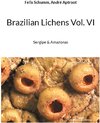 Buchcover Brazilian Lichens Vol. VI