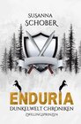 Buchcover Enduria - Zwillingsprinzen