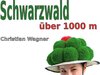 Buchcover Schwarzwald über 1000 m