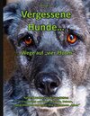 Buchcover Vergessene Hunde