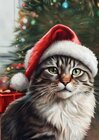 Buchcover Notizbücher Katzen / Katzen Notizheft Weihnachten Süßes Katze Notizbuch mit 55 Motivationssprüchen Geschenkidee für Katz