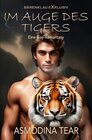 Buchcover Im Auge des Tigers – Eine Gay-Romantasy