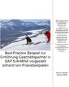 Buchcover Best Practice Beispiel zur Einführung Geschäftspartner in SAP S/4HANA vorgestellt anhand von Praxisbeispielen