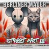 Buchcover Berliner Mauer Street Art Malbuch für Erwachsene 3