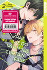 Buchcover What We Do When the Curtain Falls 02 - Limited Edition
