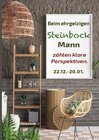 Buchcover Beim ehrgeizigen Steinbock Mann zählen klare Perspektiven