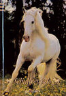 Buchcover Schulfreunde-Album