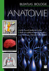 Buchcover Bildatlas Biologie / DVD 1 - Anatomie