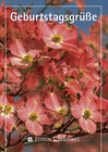 Buchcover Geburtstagsgrüße 2002