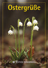 Buchcover Ostergrüße  2003