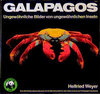 Buchcover Galapagos
