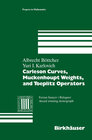 Buchcover Carleson Curves, Muckenhoupt Weights, and Toeplitz Operators
