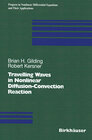 Buchcover Travelling Waves in Nonlinear Diffusion-Convection Reaction