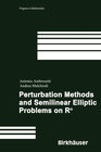Buchcover Perturbation Methods and Semilinear Elliptic Problems on R^n