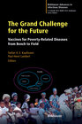 Buchcover The Grand Challenge for the Future