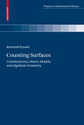 Buchcover Counting Surfaces