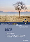 Buchcover Hiob