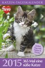 Buchcover Katzen-Tageskalender 2015
