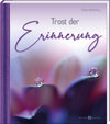 Buchcover Trost der Erinnerung