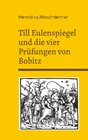 Buchcover Till Eulenspiegel und die vier Prüfungen von Bobitz