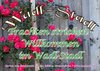 Buchcover Trachten stricken - Willkommen im Wadl-Stadl