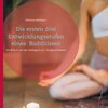Buchcover Die ersten drei Entwicklungsstufen eines Buddhisten