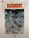 Buchcover Blueberry Chroniken 0