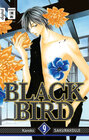 Buchcover Black Bird 09