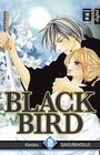 Buchcover Black Bird 18