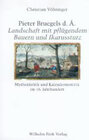 Buchcover Pieter Bruegels d. Ä. "Landschaft mit pflügendem Bauern und Ikarussturz"