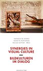 Buchcover Synergies in Visual Culture / Bildkulturen im Dialog