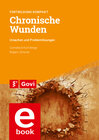 Buchcover Chronische Wunden