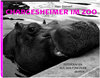 Buchcover Chargesheimer im Zoo