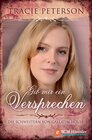 Buchcover Gib mir ein Versprechen