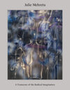 Buchcover Julie Mehretu: A Transcore of the Radical Imaginatory