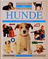 Buchcover Hunde