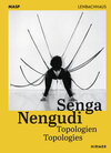 Buchcover Senga Nengudi