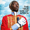 Buchcover The True Size of Africa