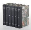Buchcover Karl Mays Werke: Historisch-Kritische Ausgabe für die Karl-May-Stiftung / Abteilung II: Fortsetzungsromane / Waldröschen
