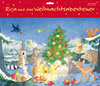 Buchcover Rica und das Weihnachtsabenteuer. Ein Türchen-Adventskalender mit 24 Geschichten zum Vorlesen