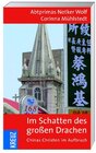 Buchcover Im Schatten des großen Drachen